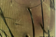 스크린샷_2026-10-02_150914.png